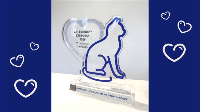 Центр изучения питания и благополучия животных принял участие в Дне ветеринарии кошек 2026 Центр изучения питания и благополучия животных принял участие в Дне ветеринарии кошек 2026