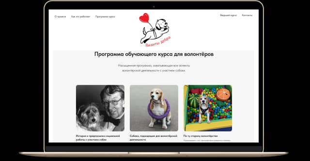«Визиты добра»: образовательный проект для волонтеров с участием собак «Визиты добра»: образовательный проект для волонтеров с участием собак
