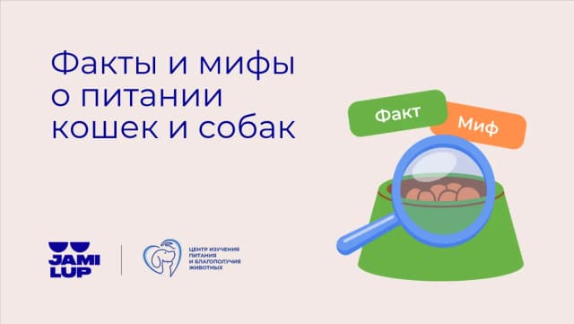 Можно ли поить котёнка молоком? В какие мифы о питании домашних животных верят россияне Можно ли поить котёнка молоком? В какие мифы о питании домашних животных верят россияне